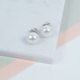 Molina White Freshwater Pearl Stud Earrings, thumbnail 1 of 4