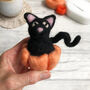 Needle Felted Black Cat Kit, thumbnail 2 of 7