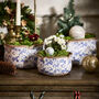 Set Of Three Solene Blue Botanical Planters, thumbnail 1 of 6