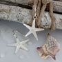 Sterling Silver Starfish Necklace, thumbnail 4 of 7