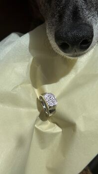 Pet Print Ring Kit, 4 of 6