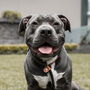 Staffordshire Bull Terrier Notebook, thumbnail 5 of 7