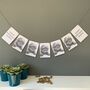 Pet Party Banner Bunting, thumbnail 2 of 3