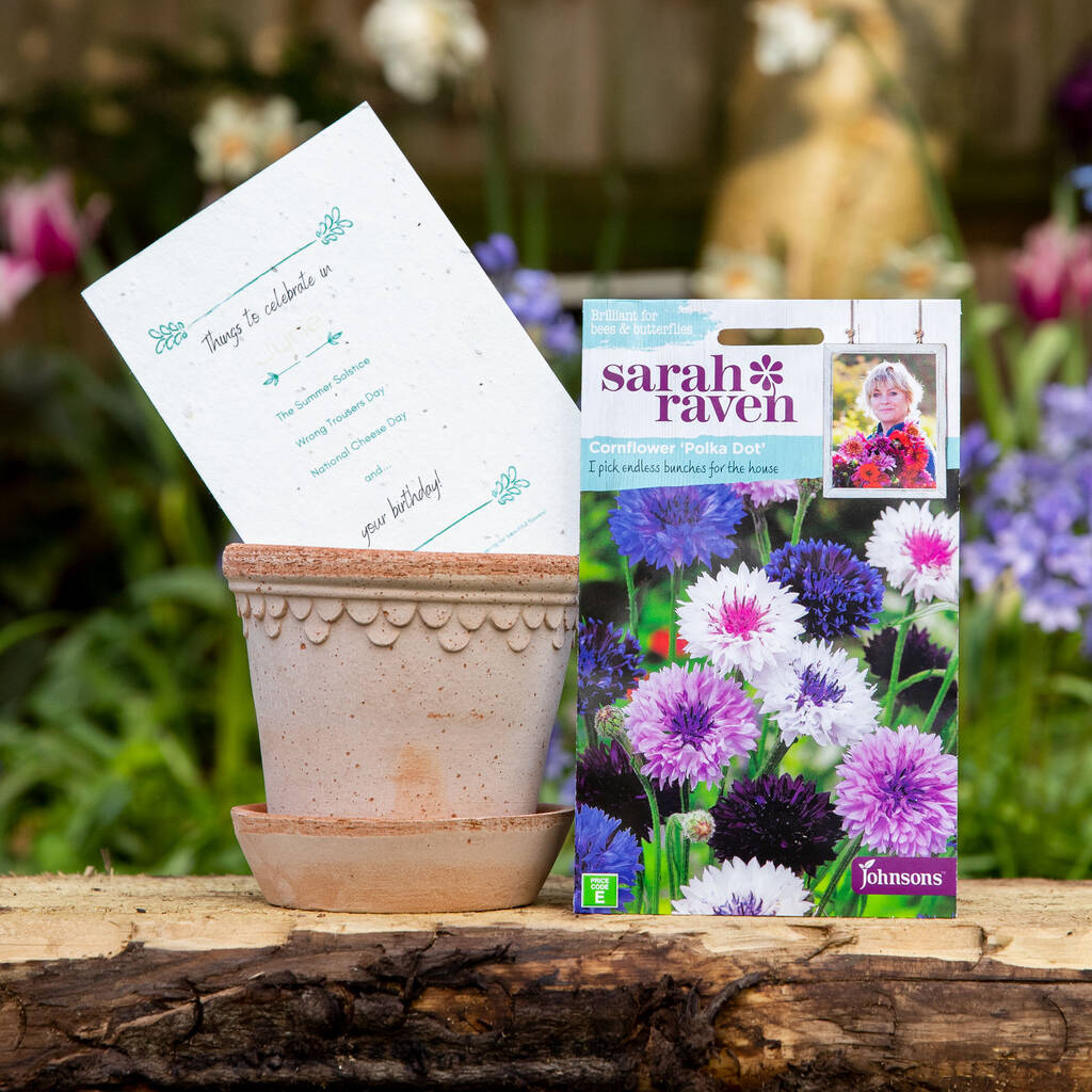 June Birth Flower Gift Set With Handmade Pot By Flourishy