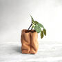 Personalised Mini Leather Paper Bag Planter With Custom Message And Artificial Round Leaf Vine, thumbnail 2 of 7