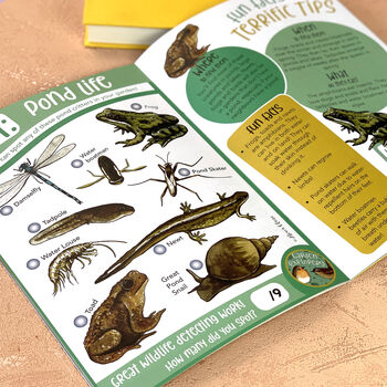 'Garden Explorers' Wildlife Activity Kit For Kids, 5 of 12