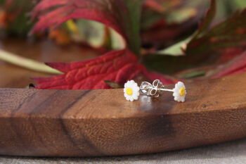 Hand Painted Daisy Stud Earrings, 5 of 6