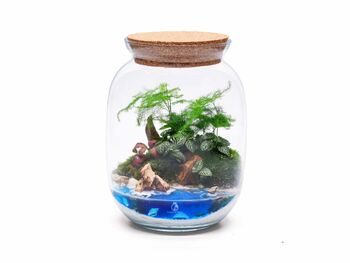 Beach Themed Terrarium Kit | 'Dominica', 9 of 12