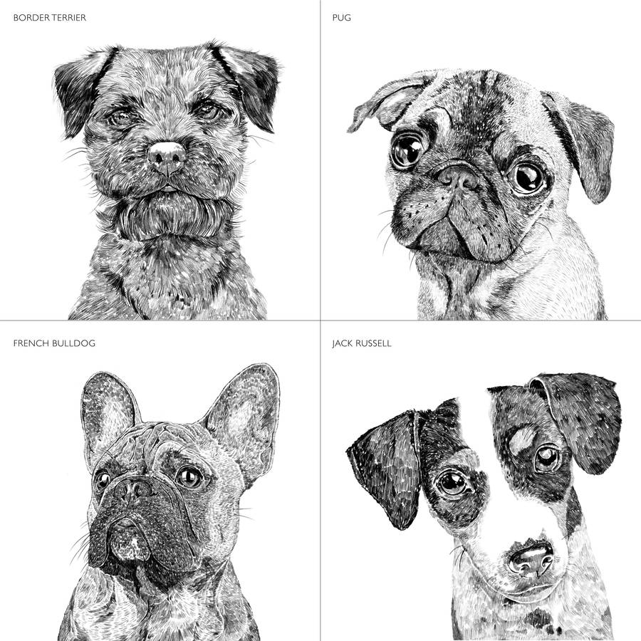 Set Of Four Dog Portrait Prints, 1 of 12