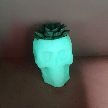 Cactus Or Succulent Skulls That Glow In The Dark, 8 of 8