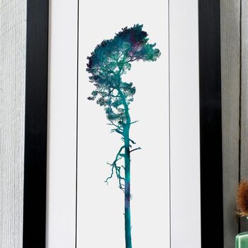 Bellingham Tree Fine Art Print, 2 of 5