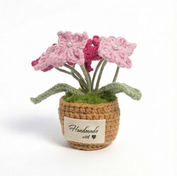 Forget Me Not Flower Pot Colours At Random, 6 of 6