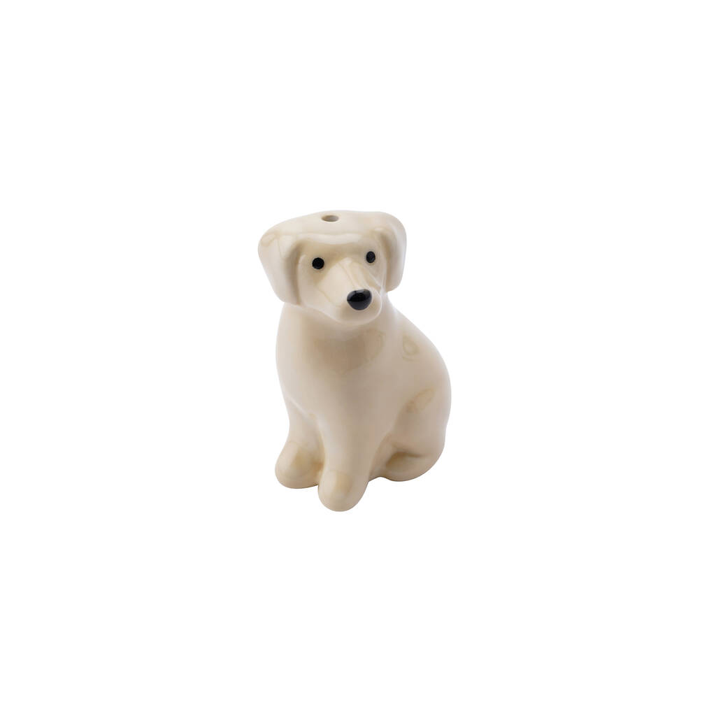 Lebra dog discount puppy white