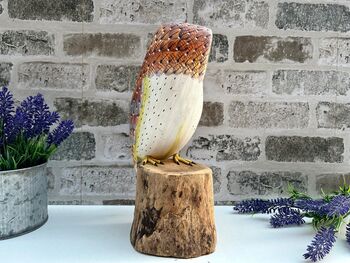 Large 30cm Hand Carved Painted Intricate Wooden Barn Owl Figurine For Bird Lovers, 9 of 10