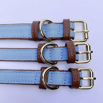 Handmade Italian Leather Padded Blue Brown Dog Collar, 8 of 8