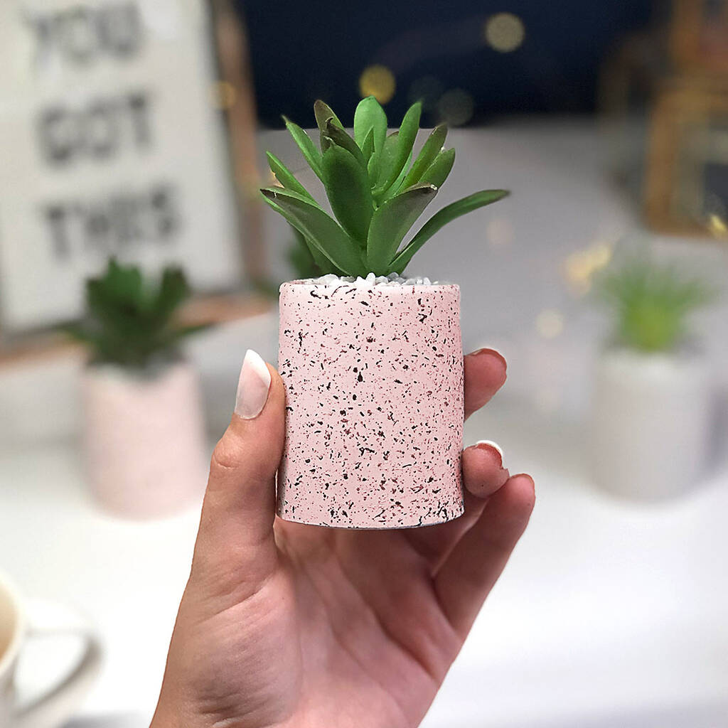 Mini Blush Pink Artificial Desk Plant Set By AIM Studio Co