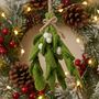 Handmade Felt Biodegradable Mistletoe Sprig, thumbnail 1 of 6