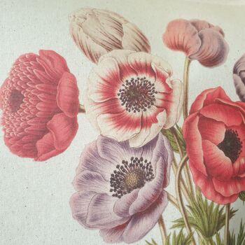 Anemone Flower Illustration Cotton Shopper Tote Bag, 3 of 4