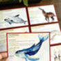 Endangered Species Flash Cards, thumbnail 3 of 9