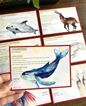 Endangered Species Flash Cards, 3 of 9