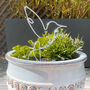 Decorative Hummingbird Plant Pot Stick, thumbnail 4 of 4
