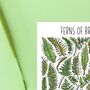 Ferns Of Britain Watercolour Postcard, thumbnail 2 of 9