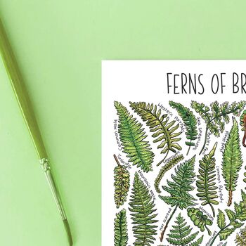 Ferns Of Britain Watercolour Postcard, 2 of 9