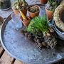 Large Round Zinc Garden Tray Platter 54cm, thumbnail 1 of 2