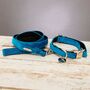 Constantine Blue Velvet Collar And Lead Set, thumbnail 1 of 6