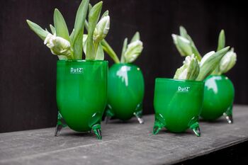 Evita Glass Vase Set Jungle, 3 of 4