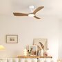 Contemporary Ceiling Fan And Light, thumbnail 5 of 7