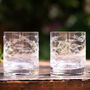 Pair Of Fern Design Whisky Glasses, thumbnail 1 of 2