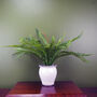 40cm Artificial Bushy Fern Potted In Decorative Planter, thumbnail 1 of 3