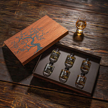 Japanese Whisky Tasting Gift Set; Six Premium Whiskies To Taste, 5 of 6