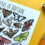 Moths Of Britain Watercolour Postcard, thumbnail 7 of 9