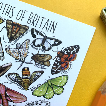 Moths Of Britain Watercolour Postcard, 7 of 9
