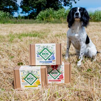 Dog Biscuit Making Kit, 6 of 12