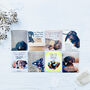 Sausage Dog Gifts: Dachshund Lovers Tea Gift Set, thumbnail 12 of 12