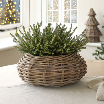 Round Rattan Zinc Lined Planter, 6 of 6