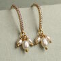 Freshwater Pearl And Gold Trio Bridal Earrings, thumbnail 1 of 7
