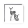 Deer And Fawn Countryside Animal Greeting Card, thumbnail 1 of 4