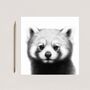 Hand Drawn Red Panda Wildlife Greeting Card, thumbnail 1 of 6