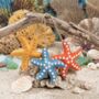 Handmade Felt Snazzy Starfish Set Of Three, thumbnail 4 of 4