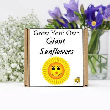 Gardening Gift For Her. Grow Your Own Giant Sunflower, 2 of 4