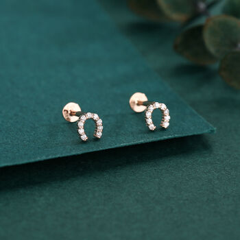 Sterling Silver Cz Horseshoe 16 G Flat Back Labret Earrings, 3 of 12