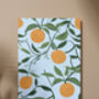 Orange Art Print, Citrus Prints, Fruit Art, thumbnail 5 of 7