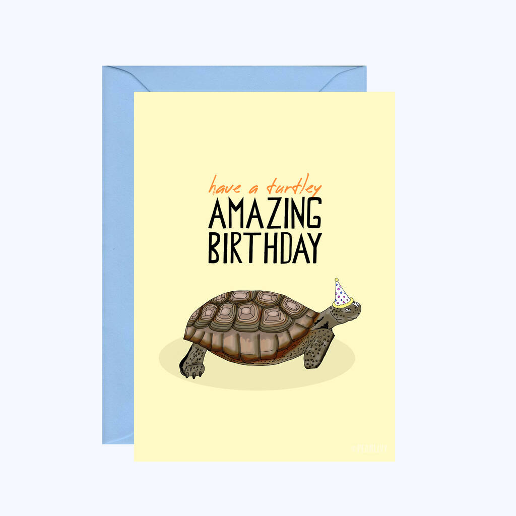 Turtle Birthday Card By Pearl Ivy