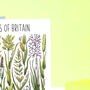 Grasses Of Britain Greeting Card, thumbnail 7 of 7