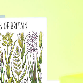Grasses Of Britain Greeting Card, 7 of 7