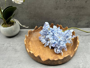 28cm Driftwood Teak Root Fruit And Nut Bowl – Wavy Edge, 4 of 12